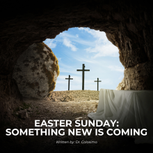 Easter Sunday: Something New Is Coming